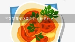 荠菜假荠菜区别图片对比是什么？