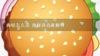 海蛏怎么读 海蛏读音及解释