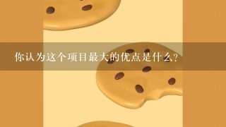 你认为这个项目最大的优点是什么？