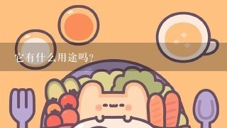 它有什么用途吗？