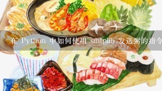 在 Python 中如何使用 smtplib 发送粥的指令?